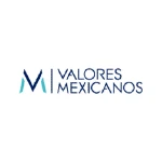 Dimajeff-clientes-valores-mexicanos-logo